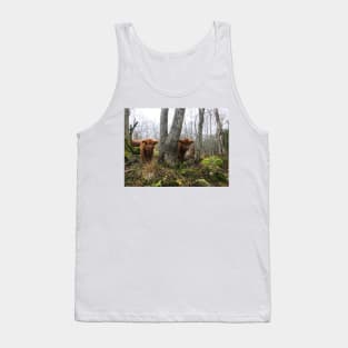 Scottish Highland Cattle Calves 1577 Tank Top